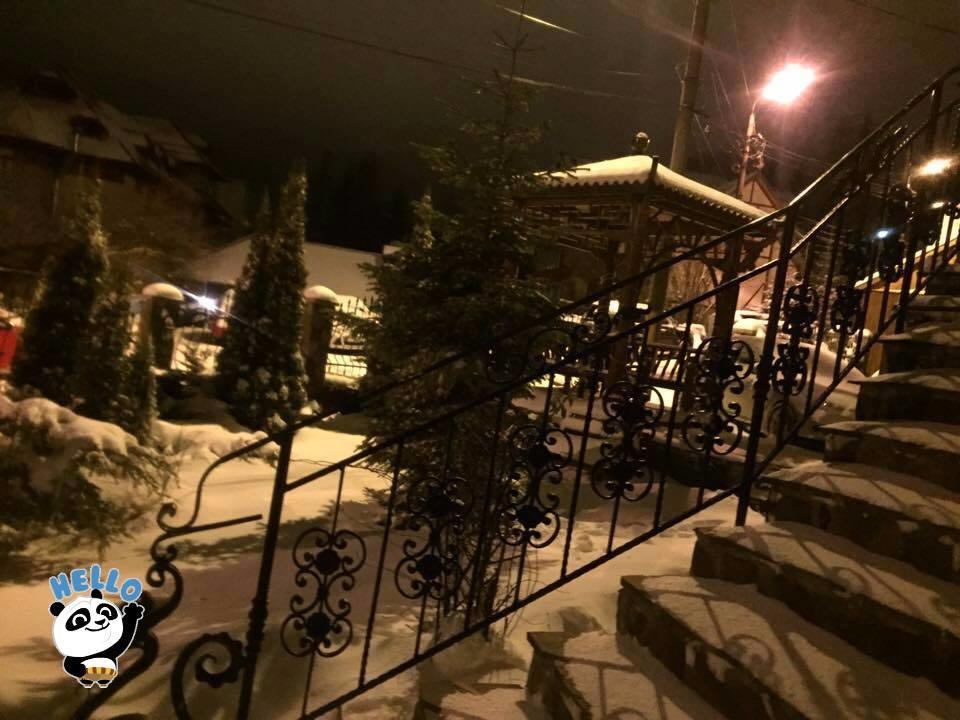Pension Casa Dunarea プレデアル エクステリア 写真