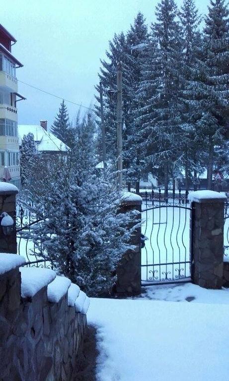 Pension Casa Dunarea プレデアル エクステリア 写真