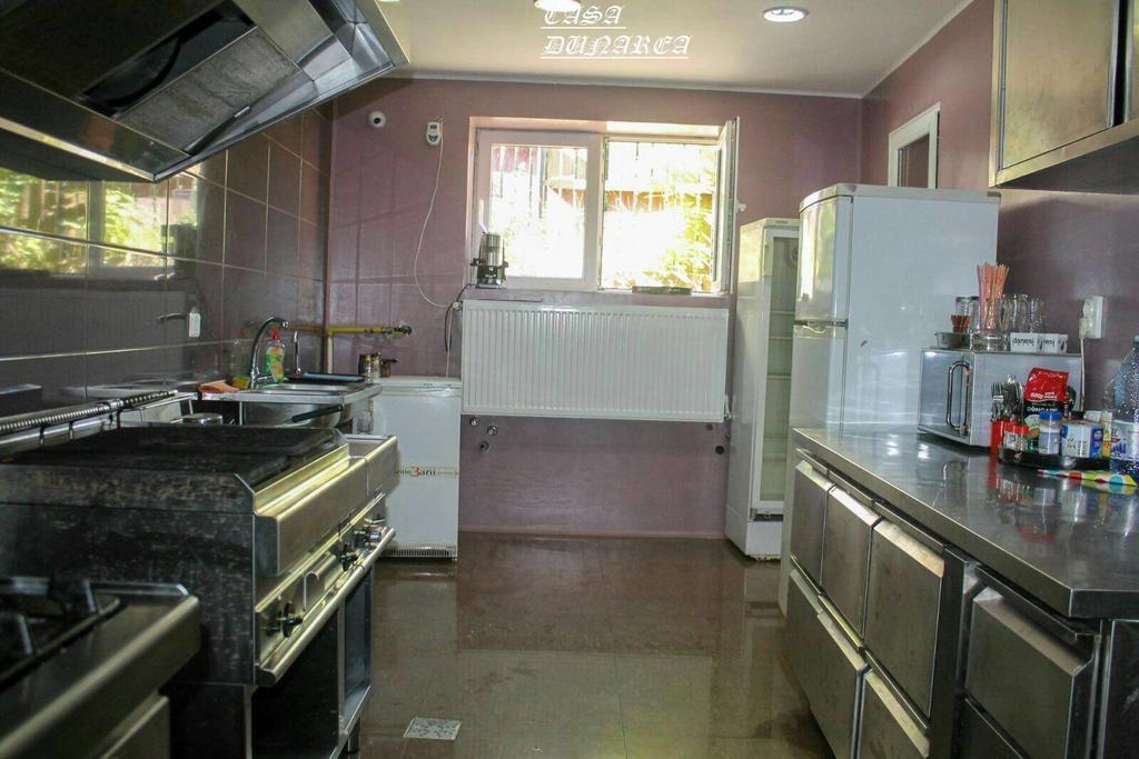 Pension Casa Dunarea プレデアル エクステリア 写真
